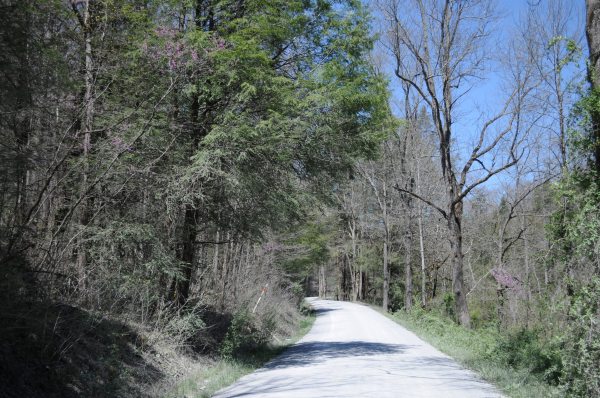 Stinking Creek Road.jpg