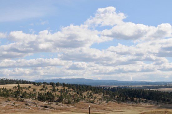 Black Hills.jpg