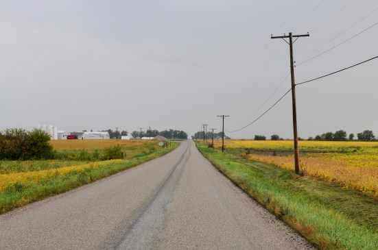 Country road.jpg