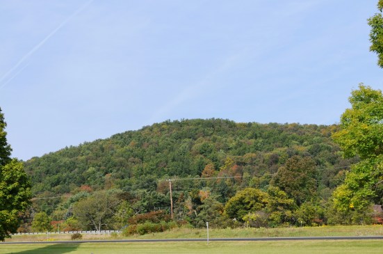 Fall Hillside.jpg