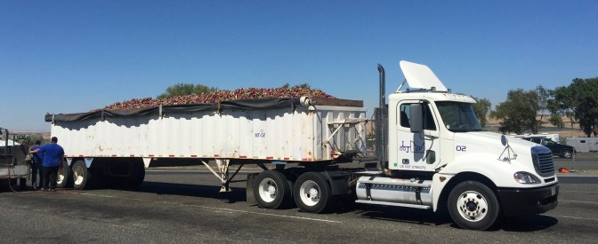 Onion Truck (1).jpg