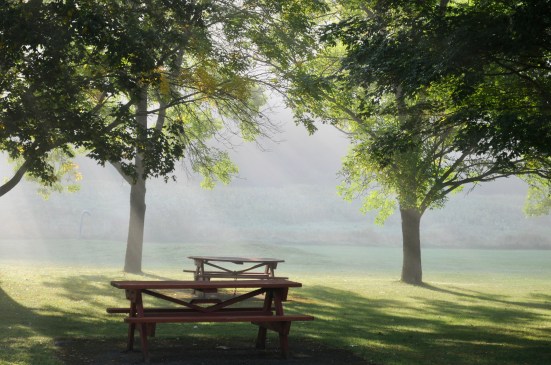 Picnic tables in fog.jpg