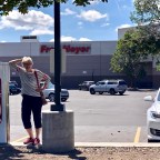 Through the Pine Forests