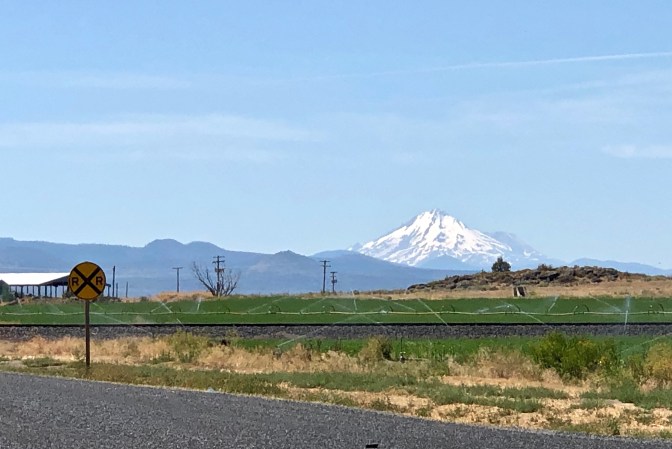2 Mt Shasta (1)