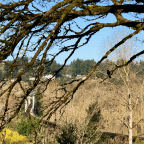 Groceries and Other Adventures