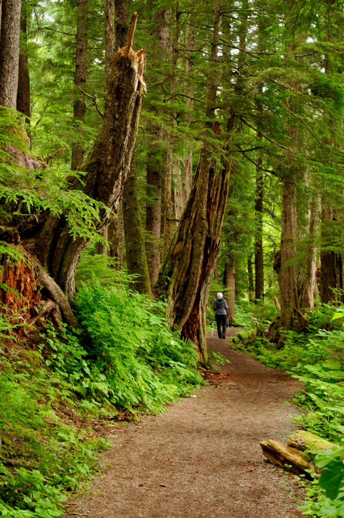 Heading Back Along Indian River