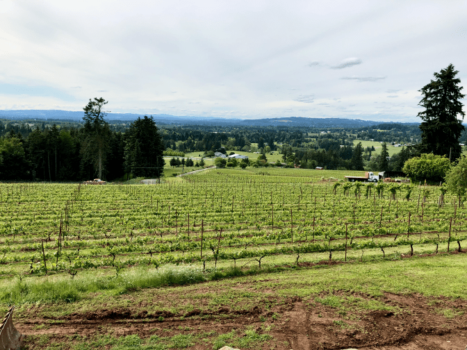 Winery with Coast Range