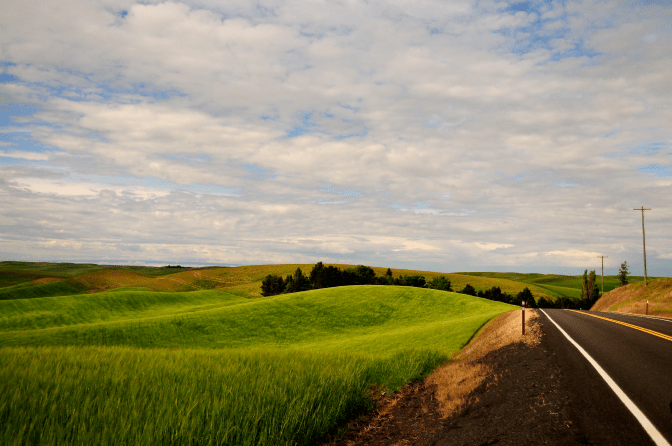 Palouse 07